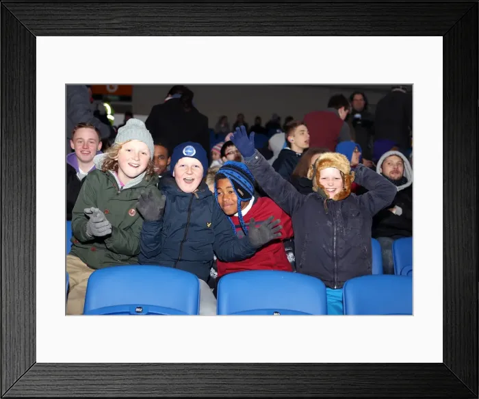 Framed Print : England's Young Seagulls Face Austria U21 at The Amex (25-03-2013) Framed Print : England's Young Seagulls Face Austria U21 at The Amex (25-03-2013)