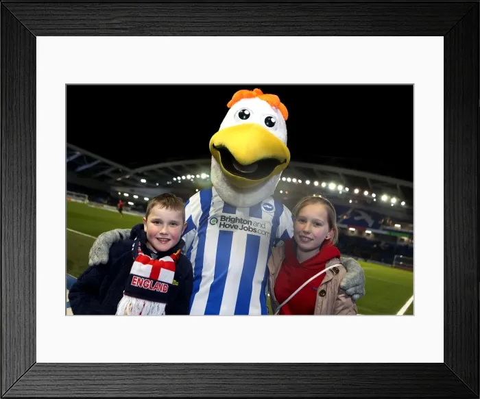 Framed Print : Young Talents Clash: England U21 vs Austria U21 at The Amex Stadium (2013) Framed Print : Young Talents Clash: England U21 vs Austria U21 at The Amex Stadium (2013)