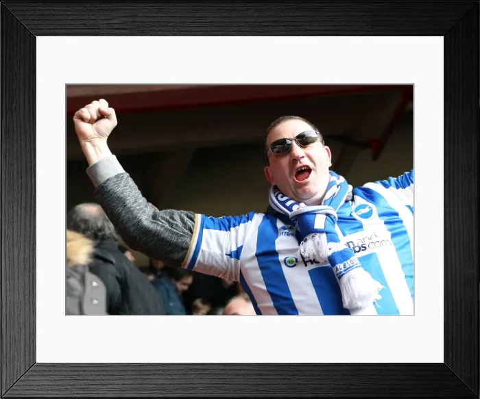 Framed Print : Sea of Supporters: Brighton and Hove Albion Away Games 2012-2013 Framed Print : Sea of Supporters: Brighton and Hove Albion Away Games 2012-2013