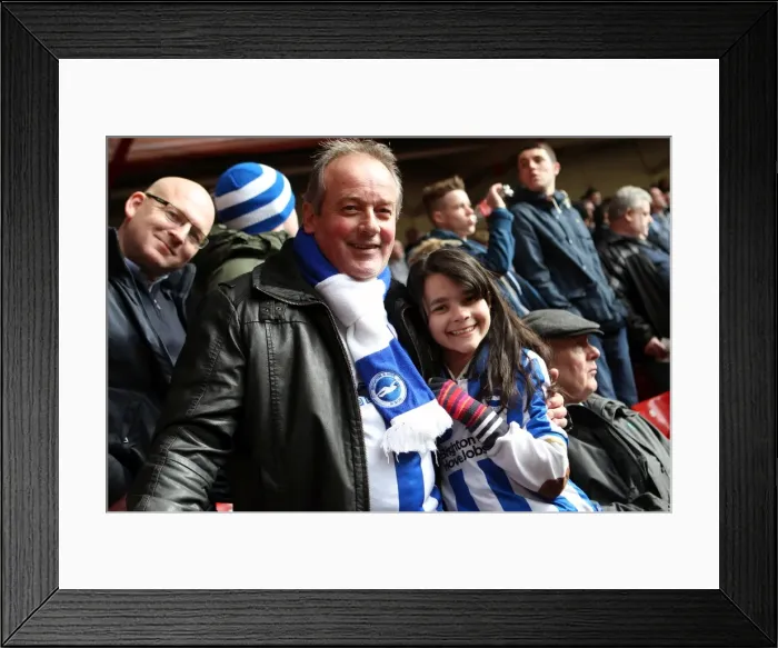 Framed Print : Sea of Seagulls: Brighton and Hove Albion Away Days 2012-13 Framed Print : Sea of Seagulls: Brighton and Hove Albion Away Days 2012-13