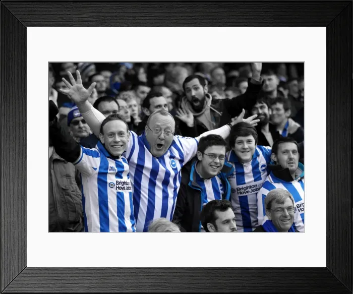 Framed Print : Brighton and Hove Albion FC: Unforgettable Away Day Crowd Moments 2012-13 Framed Print : Brighton and Hove Albion FC: Unforgettable Away Day Crowd Moments 2012-13