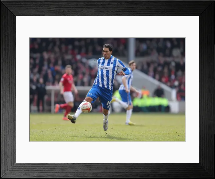 Framed Print : Brighton & Hove Albion vs. Nottingham Forest: A 2012-13 Season Flashback - March 30th Game Framed Print : Brighton & Hove Albion vs. Nottingham Forest: A 2012-13 Season Flashback - March 30th Game