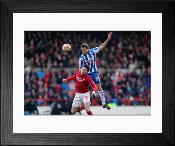 Framed Print : Brighton & Hove Albion vs. Nottingham Forest (Away) - A 2012-13 Season Flashback: 30-03-2013 Framed Print : Brighton & Hove Albion vs. Nottingham Forest (Away) - A 2012-13 Season Flashback: 30-03-2013