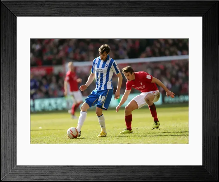Framed Print : Brighton & Hove Albion vs. Nottingham Forest (Away) - A 2012-13 Season Flashback: The Seasiders Battle at Nottingham Forest (March 30, 2013) Framed Print : Brighton & Hove Albion vs. Nottingham Forest (Away) - A 2012-13 Season Flashback: The Seasiders Battle at Nottingham Forest (March 30, 2013)