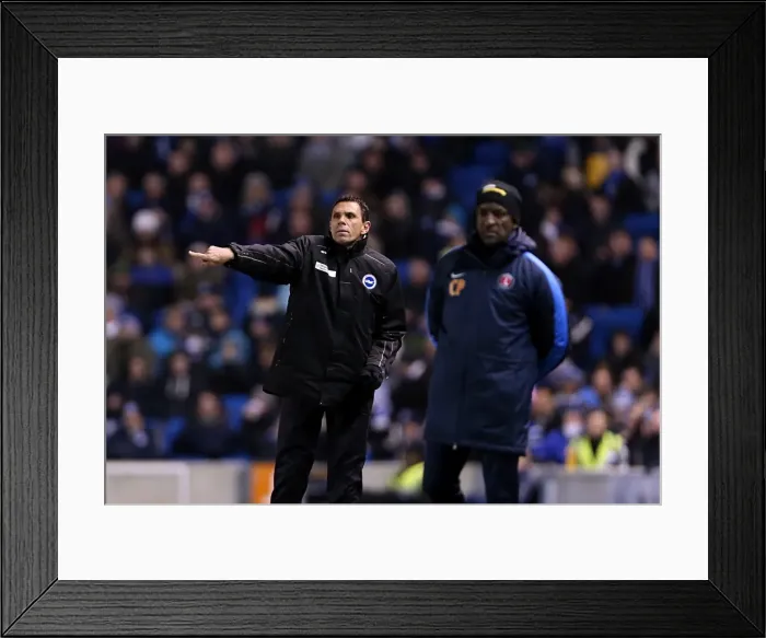 Framed Print : Brighton Crystal Palace 130317 Framed Print : Brighton Crystal Palace 130317