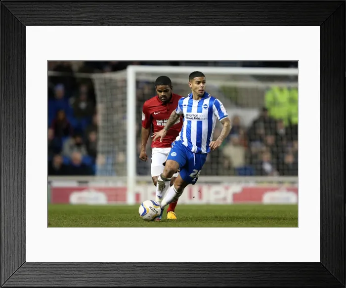 Framed Print : Focused Liam Bridcutt Amidst Intense NPower Championship Clash: Brighton & Hove Albion vs Charlton Athletic (April 2013) Framed Print : Focused Liam Bridcutt Amidst Intense NPower Championship Clash: Brighton & Hove Albion vs Charlton Athletic (April 2013)