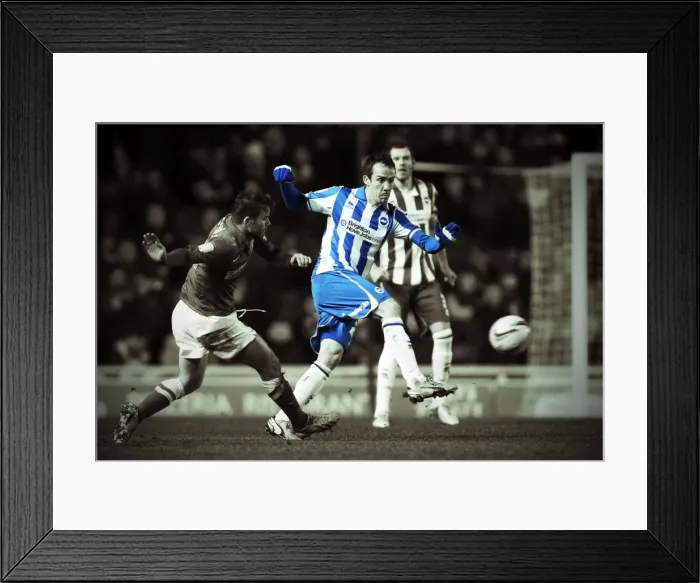 Framed Print : Brighton And Hove Albion Past Seasons: Season 2012-13: 2012-13 Home Games: Charlton Athletic - 02-04-2013 Framed Print : Brighton And Hove Albion Past Seasons: Season 2012-13: 2012-13 Home Games: Charlton Athletic - 02-04-2013