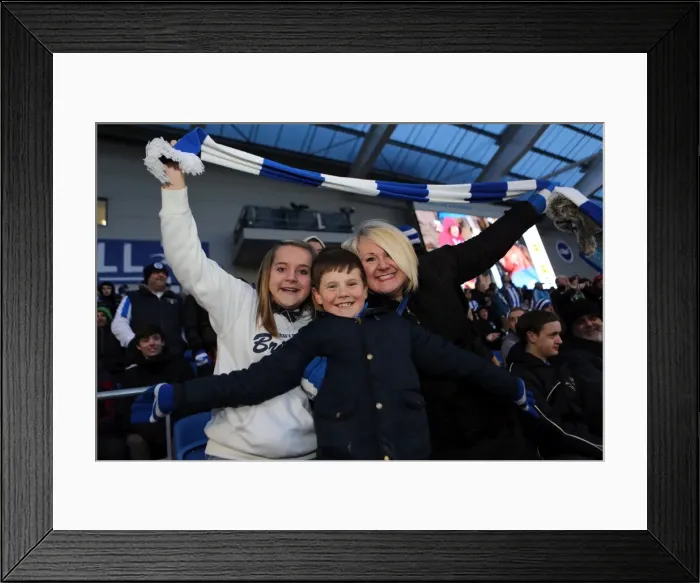 Framed Print : Brighton and Hove Albion: The Electric Atmosphere of the Amex Stadium Crowd (2012-2013) Framed Print : Brighton and Hove Albion: The Electric Atmosphere of the Amex Stadium Crowd (2012-2013)