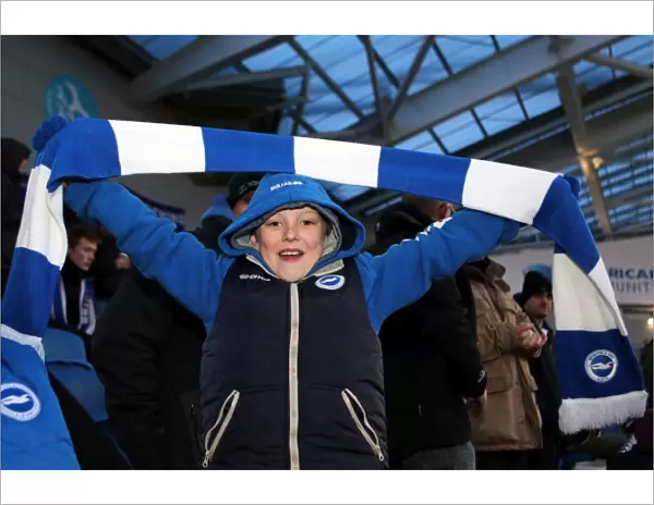Brighton & Hove Albion: Electric Atmosphere at The Amex (2012-2013)