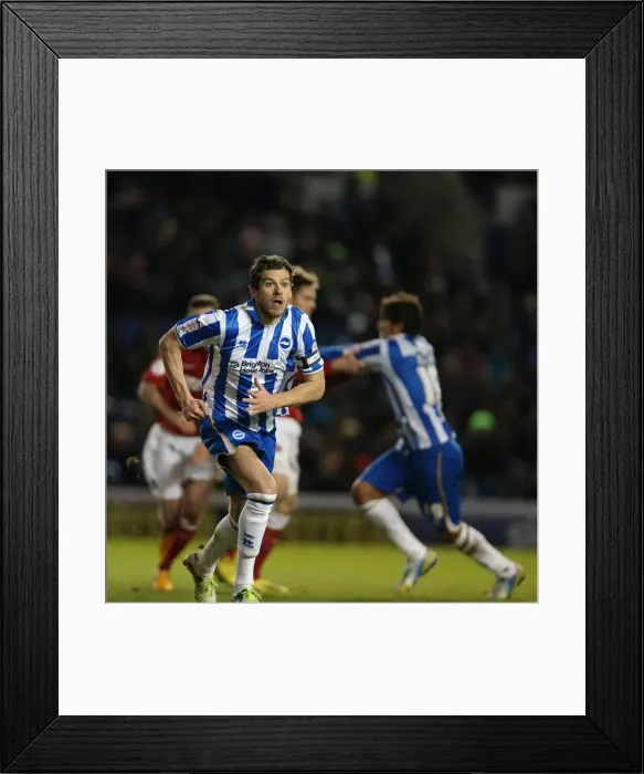 Framed Print : Brighton & Hove Albion vs Charlton Athletic (2012-13 Season): A Home Game Review - 2nd April 2013 Framed Print : Brighton & Hove Albion vs Charlton Athletic (2012-13 Season): A Home Game Review - 2nd April 2013