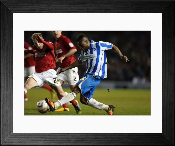 Framed Print : Brighton & Hove Albion vs Charlton Athletic: 2012-13 Home Game Framed Print : Brighton & Hove Albion vs Charlton Athletic: 2012-13 Home Game
