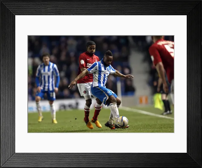 Framed Print : Brighton & Hove Albion vs Charlton Athletic (2013): A Past Season Home Game Framed Print : Brighton & Hove Albion vs Charlton Athletic (2013): A Past Season Home Game