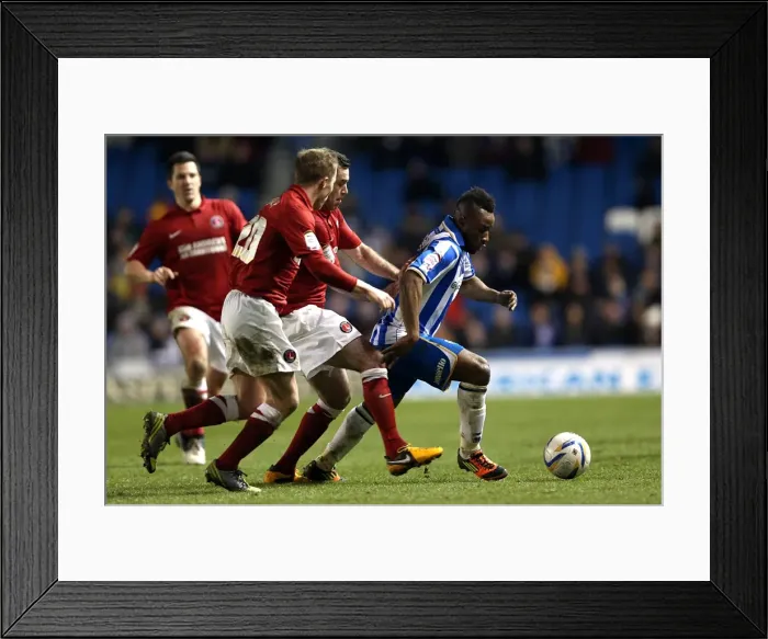 Framed Print : Brighton & Hove Albion vs Charlton Athletic (2012-13 Season): A Home Game Review - 2nd April 2013 Framed Print : Brighton & Hove Albion vs Charlton Athletic (2012-13 Season): A Home Game Review - 2nd April 2013