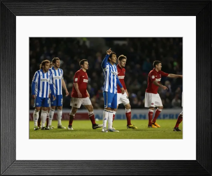 Framed Print : Brighton & Hove Albion vs Charlton Athletic (2012-13): Home Game Highlights Framed Print : Brighton & Hove Albion vs Charlton Athletic (2012-13): Home Game Highlights