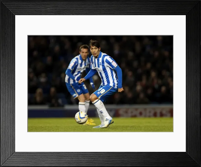 Framed Print : Brighton & Hove Albion vs Charlton Athletic (2012-13): A Home Game Review - 02-04-2013 Framed Print : Brighton & Hove Albion vs Charlton Athletic (2012-13): A Home Game Review - 02-04-2013