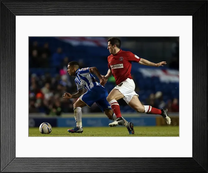 Framed Print : Brighton & Hove Albion vs Charlton Athletic (2012-13 Season): A Home Game Review - 2 April 2013 Framed Print : Brighton & Hove Albion vs Charlton Athletic (2012-13 Season): A Home Game Review - 2 April 2013