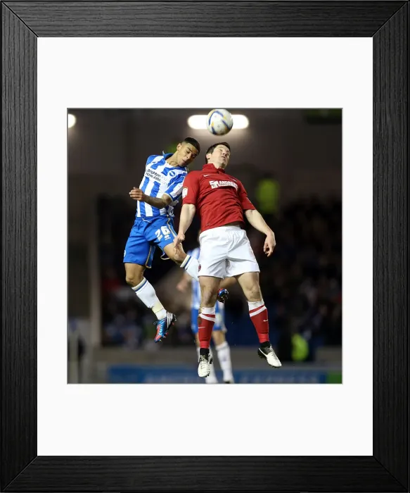 Framed Print : Brighton & Hove Albion vs Charlton Athletic (02-04-2013): A Glimpse into the 2012-13 Home Season Framed Print : Brighton & Hove Albion vs Charlton Athletic (02-04-2013): A Glimpse into the 2012-13 Home Season