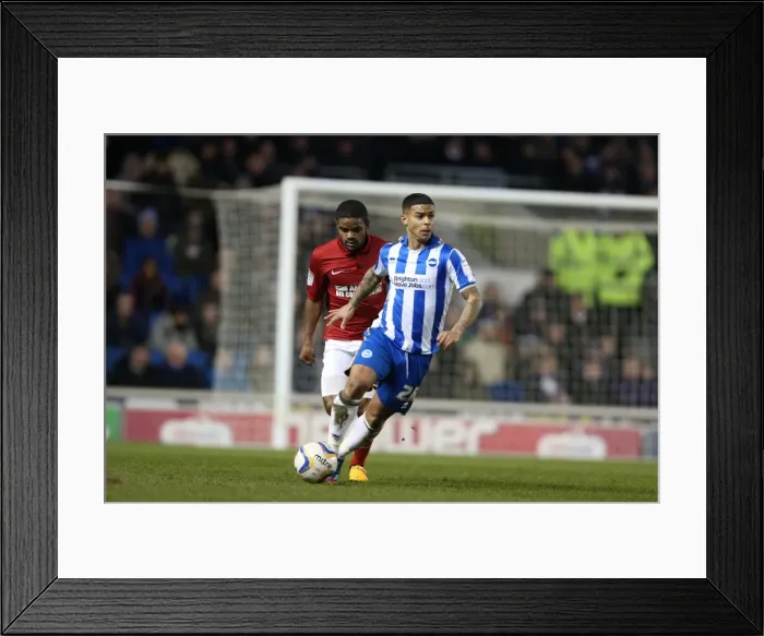 Framed Print : Brighton & Hove Albion vs Charlton Athletic (02-04-2013): A Look Back at the 2012-13 Home Season - Charlton Athletic Game Framed Print : Brighton & Hove Albion vs Charlton Athletic (02-04-2013): A Look Back at the 2012-13 Home Season - Charlton Athletic Game