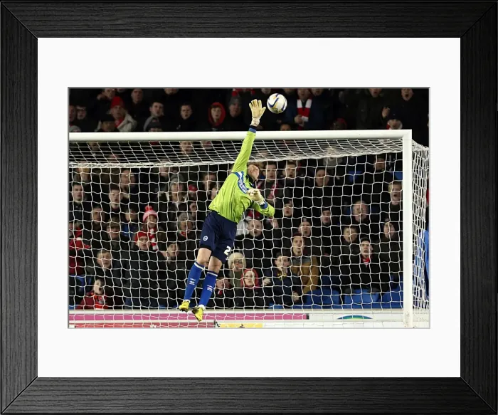 Framed Print : Brighton & Hove Albion vs Charlton Athletic (2012-13): A Home Game Review - 2 April 2013 Framed Print : Brighton & Hove Albion vs Charlton Athletic (2012-13): A Home Game Review - 2 April 2013