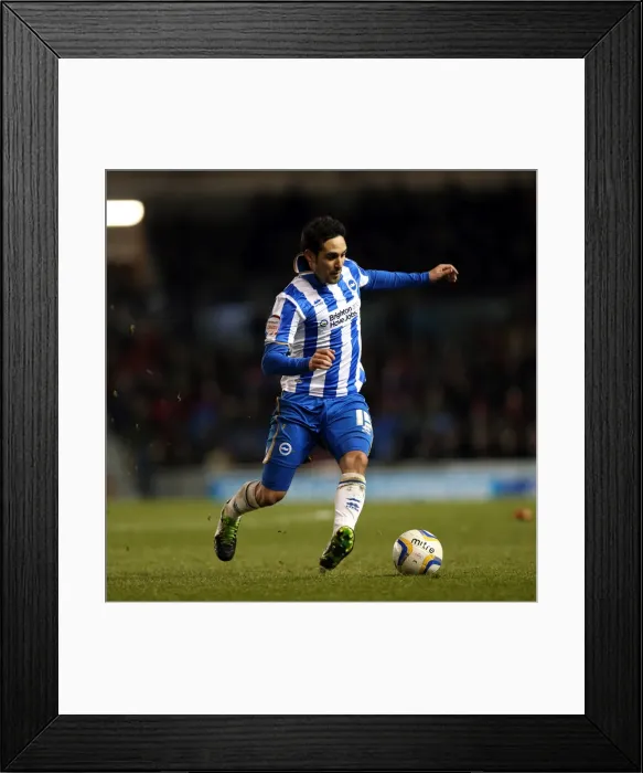 Framed Print : Brighton & Hove Albion vs Charlton Athletic: 2012-13 Home Game Framed Print : Brighton & Hove Albion vs Charlton Athletic: 2012-13 Home Game