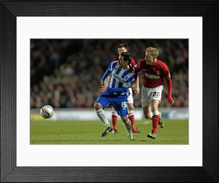 Framed Print : Brighton & Hove Albion vs Charlton Athletic: 2012-13 Home Game Framed Print : Brighton & Hove Albion vs Charlton Athletic: 2012-13 Home Game