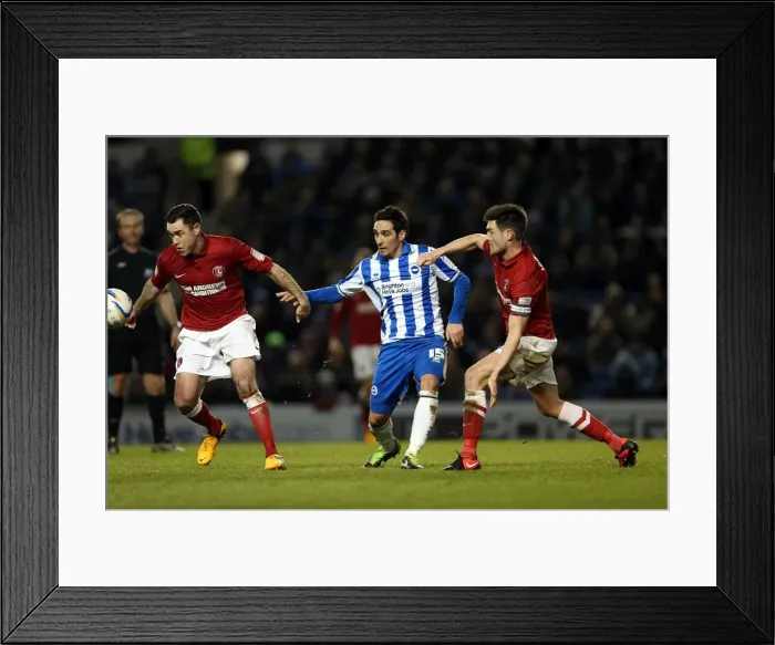 Framed Print : Brighton & Hove Albion vs Charlton Athletic (02-04-2013) - A Peek into the 2012-13 Home Season Framed Print : Brighton & Hove Albion vs Charlton Athletic (02-04-2013) - A Peek into the 2012-13 Home Season
