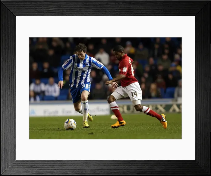 Framed Print : Brighton & Hove Albion vs Charlton Athletic: 2012-13 Home Game Framed Print : Brighton & Hove Albion vs Charlton Athletic: 2012-13 Home Game