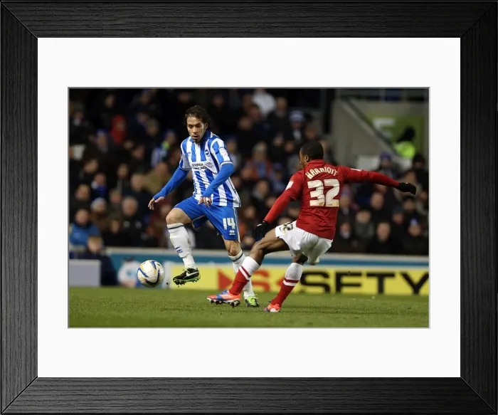 Framed Print : Inigo Calderon's Focus: Brighton & Hove Albion vs Charlton Athletic (April 2013) Framed Print : Inigo Calderon's Focus: Brighton & Hove Albion vs Charlton Athletic (April 2013)