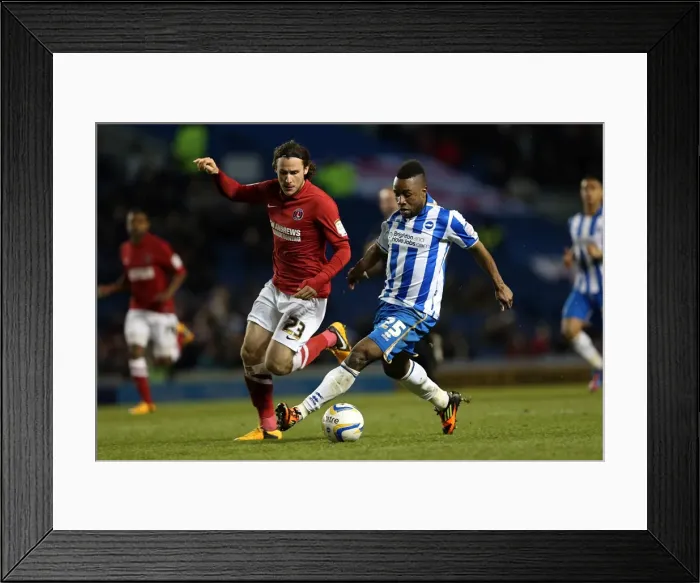 Framed Print : Kazenga LuaLua: Electric Performance in Brighton & Hove Albion vs Charlton Athletic, April 2013 Framed Print : Kazenga LuaLua: Electric Performance in Brighton & Hove Albion vs Charlton Athletic, April 2013