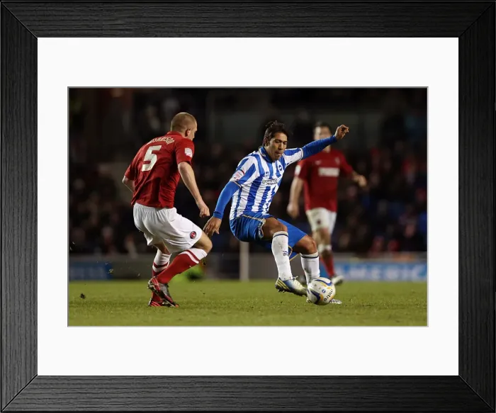 Framed Print : Determined Leonardo Ulloa: Brighton & Hove Albion's Hero in Victory over Charlton Athletic (April 2, 2013) Framed Print : Determined Leonardo Ulloa: Brighton & Hove Albion's Hero in Victory over Charlton Athletic (April 2, 2013)