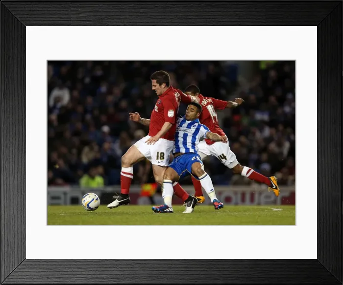 Framed Print : Intensely Pressuring the Opponent: Liam Bridcutt's Determined Performance at Amex Stadium (Brighton & Hove Albion vs Charlton Athletic, April 2013) Framed Print : Intensely Pressuring the Opponent: Liam Bridcutt's Determined Performance at Amex Stadium (Brighton & Hove Albion vs Charlton Athletic, April 2013)