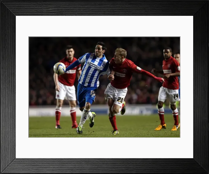 Framed Print : Determined Vicente: Brighton & Hove Albion vs Charlton Athletic, April 2013 (NPower Championship, Amex Stadium) Framed Print : Determined Vicente: Brighton & Hove Albion vs Charlton Athletic, April 2013 (NPower Championship, Amex Stadium)