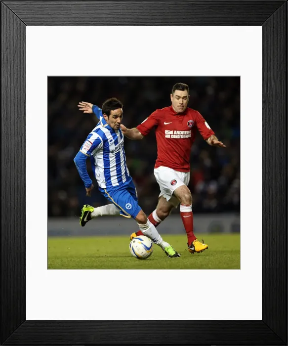 Framed Print : Determined Vicente: Brighton & Hove Albion's Victory Against Charlton Athletic, April 2, 2013 (NPower Championship, Amex Stadium) Framed Print : Determined Vicente: Brighton & Hove Albion's Victory Against Charlton Athletic, April 2, 2013 (NPower Championship, Amex Stadium)