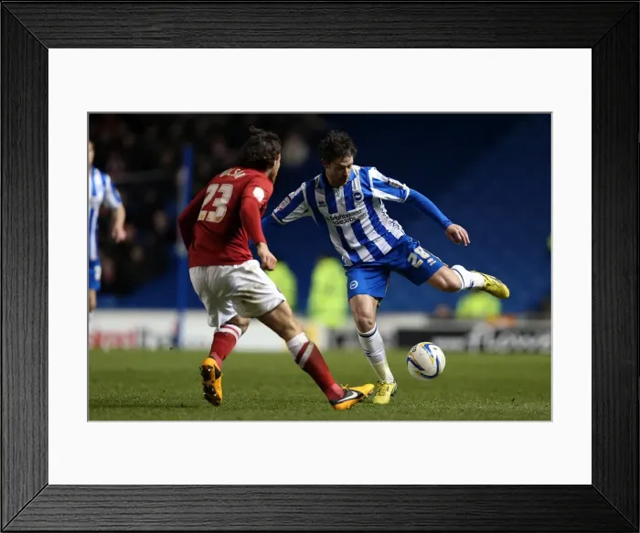 Framed Print : Wayne Bridge's Focus: Brighton & Hove Albion vs Charlton Athletic, Amex Stadium Showdown - April 2, 2013 Framed Print : Wayne Bridge's Focus: Brighton & Hove Albion vs Charlton Athletic, Amex Stadium Showdown - April 2, 2013
