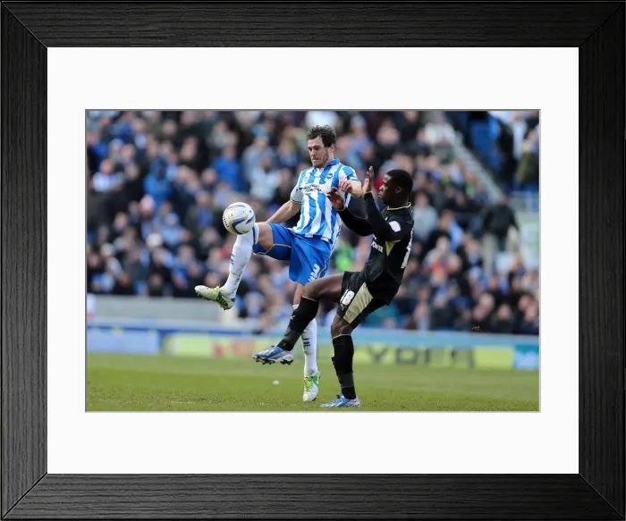 Framed Print : Intense Concentration: Gordon Greer Focuses on Brighton & Hove Albion's Championship Clash vs Leicester City (April 6, 2013) Framed Print : Intense Concentration: Gordon Greer Focuses on Brighton & Hove Albion's Championship Clash vs Leicester City (April 6, 2013)