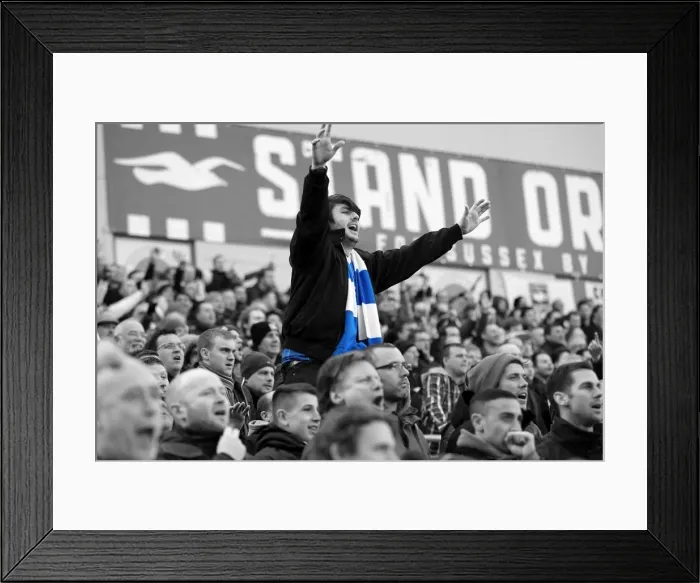 Framed Print : Brighton & Hove Albion: Electric Atmosphere at The Amex (2012-2013) - Unforgettable Crowd Moments Framed Print : Brighton & Hove Albion: Electric Atmosphere at The Amex (2012-2013) - Unforgettable Crowd Moments