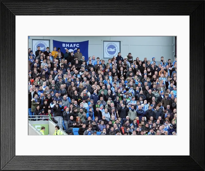 Framed Print : Brighton & Hove Albion vs. Leicester City (2012-13 Season): A Look Back at Our Past Home Game
