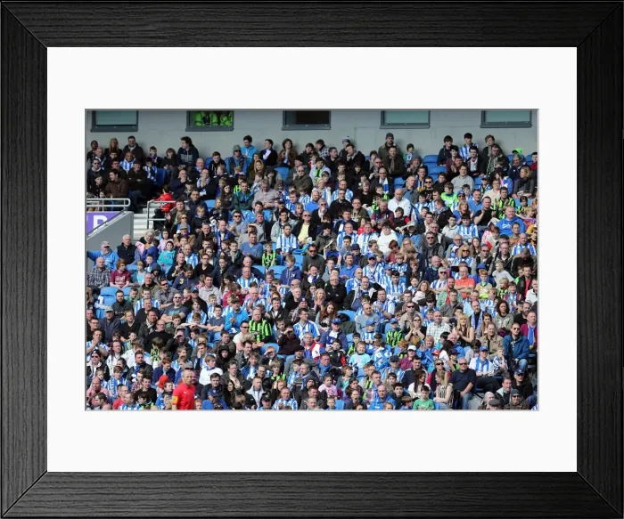 Framed Print : Brighton & Hove Albion vs Leicester City: A 2012-13 Season Showdown (06-04-2013)