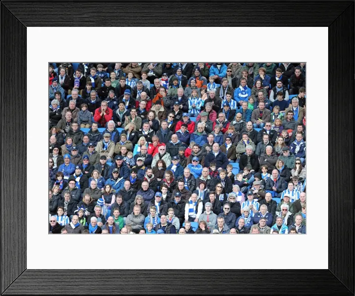 Framed Print : Brighton & Hove Albion vs. Leicester City (2012-13): A Memorable Home Victory - 6th April 2013