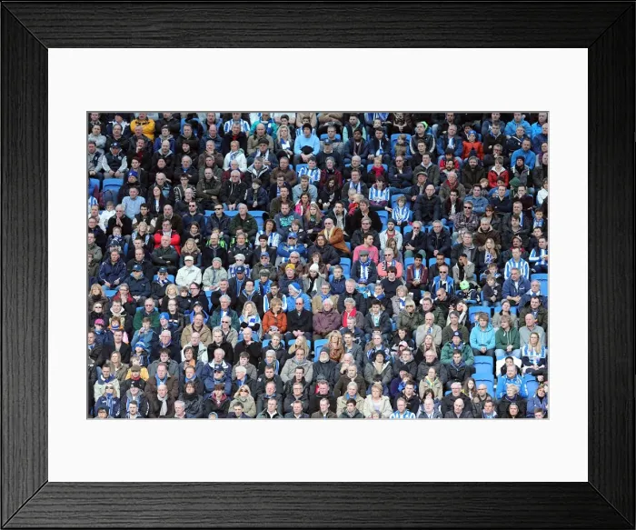 Framed Print : Brighton & Hove Albion vs. Leicester City: 2012-13 Home Game Framed Print : Brighton & Hove Albion vs. Leicester City: 2012-13 Home Game