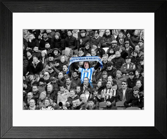 Framed Print : Brighton & Hove Albion vs Leicester City: A Past Glory (Season 2012-13 Home Game) Framed Print : Brighton & Hove Albion vs Leicester City: A Past Glory (Season 2012-13 Home Game)