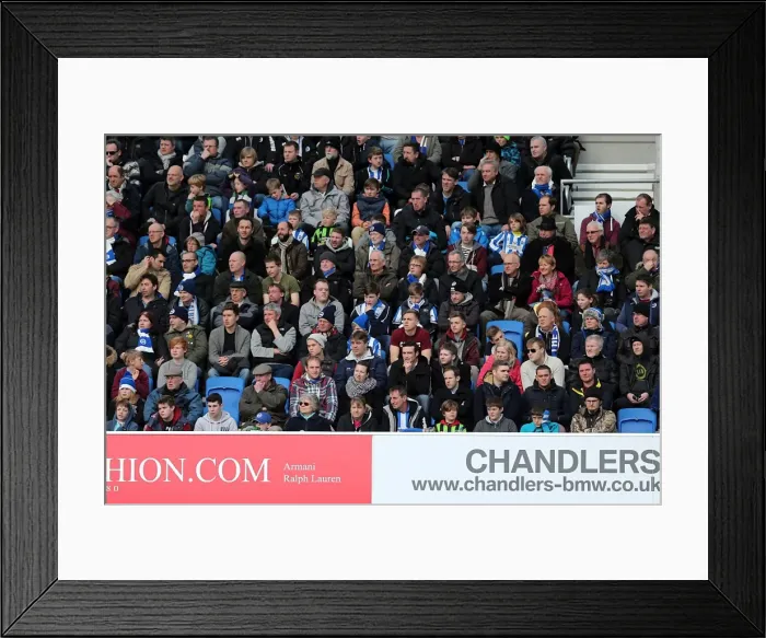 Framed Print : Brighton & Hove Albion vs Leicester City: A 2012-13 Season Showdown (April 6, 2013)