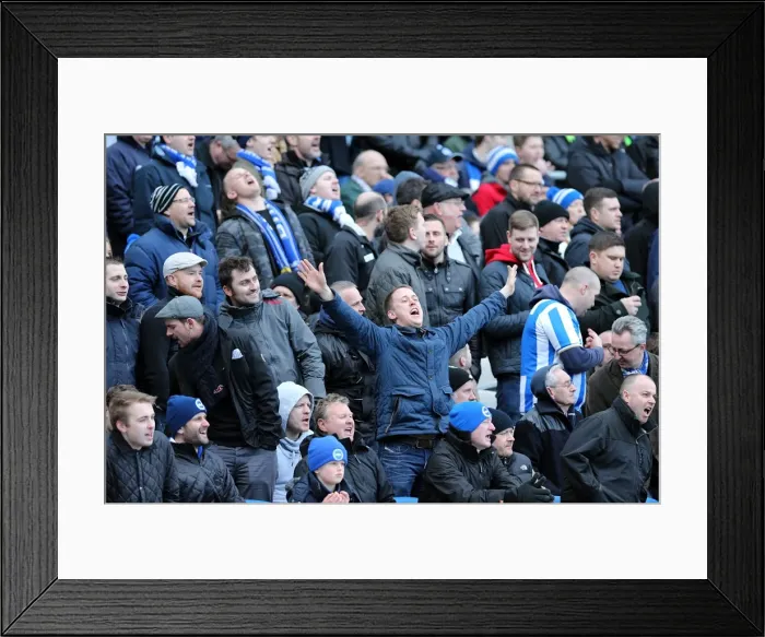 Framed Print : Brighton & Hove Albion vs. Leicester City (06-04-2013) - A Glance at the 2012-13 Home Season Framed Print : Brighton & Hove Albion vs. Leicester City (06-04-2013) - A Glance at the 2012-13 Home Season