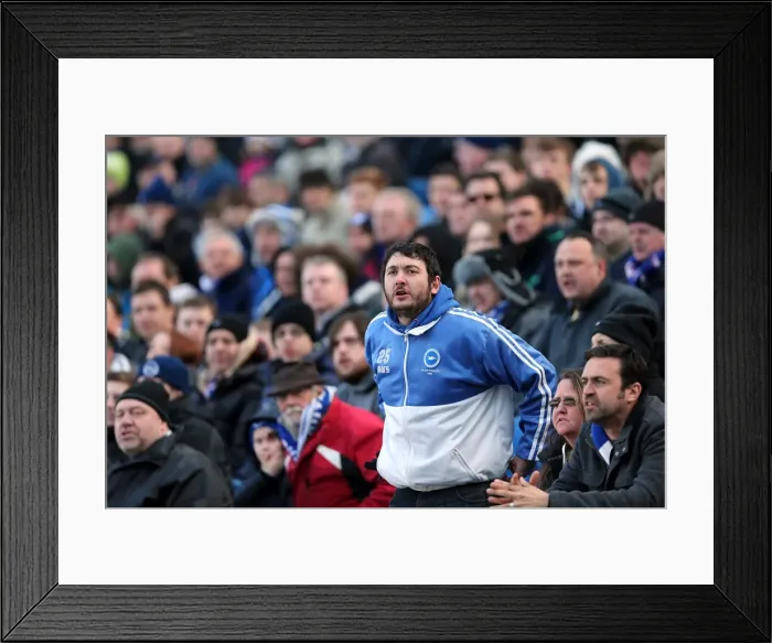 Framed Print : A Glance into the Past: Brighton & Hove Albion vs. Leicester City (06-04-2013) - 2012-13 Season Home Game Framed Print : A Glance into the Past: Brighton & Hove Albion vs. Leicester City (06-04-2013) - 2012-13 Season Home Game