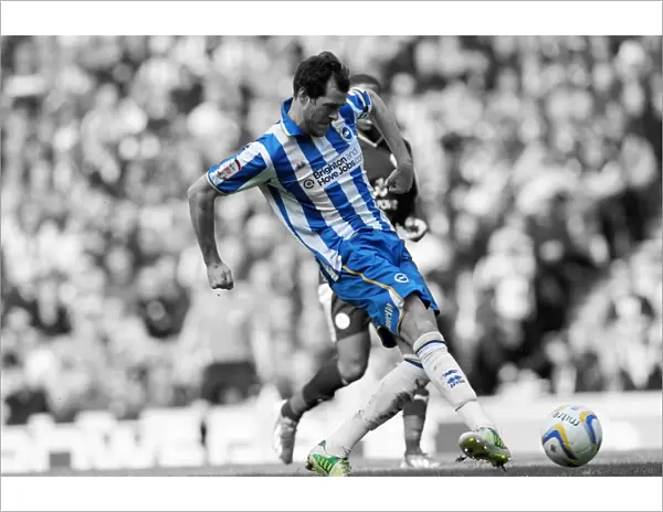 Brighton & Hove Albion vs. Leicester City (2012-13 Season): A Home Game Review - 6th April 2013