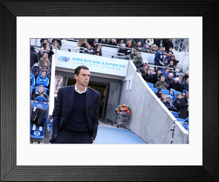 Framed Print : Brighton & Hove Albion vs. Leicester City (06-04-2013) - 2012-13 Season Home Game Framed Print : Brighton & Hove Albion vs. Leicester City (06-04-2013) - 2012-13 Season Home Game