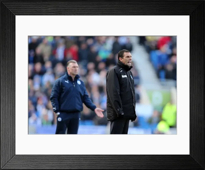 Framed Print : Brighton & Hove Albion vs. Leicester City (06-04-2013) - A Nostalgic Look Back at the 2012-13 Home Season Framed Print : Brighton & Hove Albion vs. Leicester City (06-04-2013) - A Nostalgic Look Back at the 2012-13 Home Season