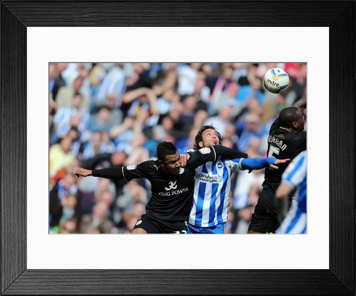 Framed Print : Brighton & Hove Albion vs. Leicester City (06-04-2013) - 2012-13 Season Home Game Framed Print : Brighton & Hove Albion vs. Leicester City (06-04-2013) - 2012-13 Season Home Game