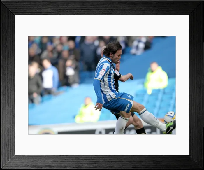Framed Print : Brighton & Hove Albion vs. Leicester City: A 2012-13 Season Showdown (06-04-2013)