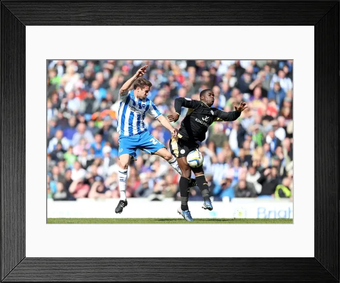 Framed Print : Brighton & Hove Albion vs Leicester City (06-04-2013): A Look Back at the 2012-13 Season Home Game Framed Print : Brighton & Hove Albion vs Leicester City (06-04-2013): A Look Back at the 2012-13 Season Home Game